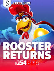 Crash Games Strategies 254bet